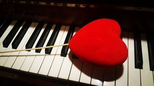 Alba, un concerto per ricordare la giovane Silvia Bastianini