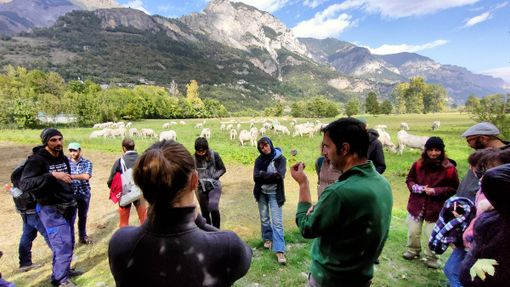 Scuola giovani pastori, mercoledì la consegna degli attestati ai partecipanti