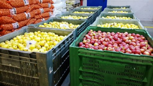 Frutta, Coldiretti Cuneo: "Troppo ampia la forbice tra campo e supermercato" Frutta, Coldiretti Cuneo: "Troppo ampia la forbice tra campo e supermercato"