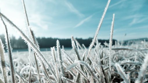 La Granda si prepara all'arrivo del Foehn: sarà una settimana senza precipitazioni