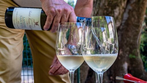 «Nascetta Day» ritorna e si fa in tre:  ad Alba, Bra e La Morra si festeggia il bianco autoctono delle Langhe