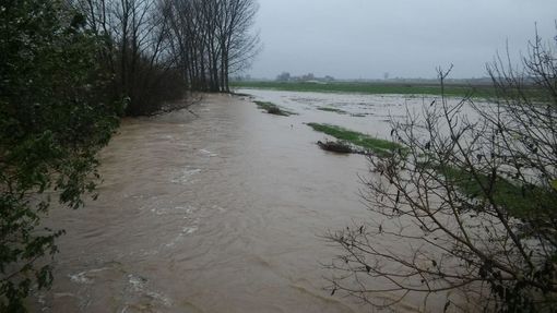 La pioggia regala una boccata d'ossigeno all'agricoltura in Granda. Ma il quadro complessivo resta drammatico La pioggia regala una boccata d'ossigeno all'agricoltura in Granda. Ma il quadro complessivo resta drammatico