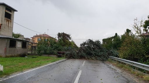 Foto inviate da un lettore dalla zona dei Trucchi