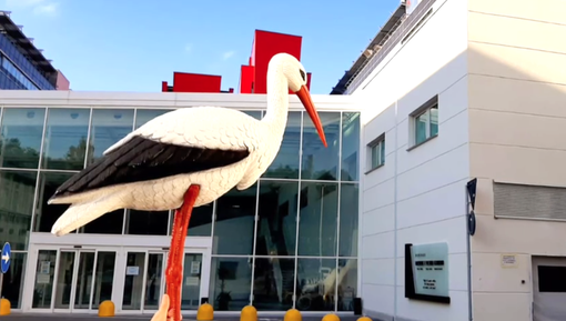 "Meno cesarei, più naturalità": la sfida della struttura di Ostetricia dell’Ospedale di Verduno "Meno cesarei, più naturalità": la sfida della struttura di Ostetricia dell’Ospedale di Verduno