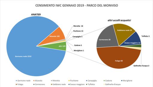 Parco del Monviso, censiti gli uccelli acquatici: il germano reale la specie più diffusa