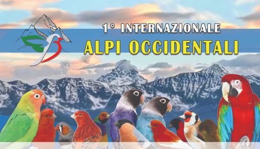 In autunno a Farigliano la Prima Mostra Ornitologica Internazionale
