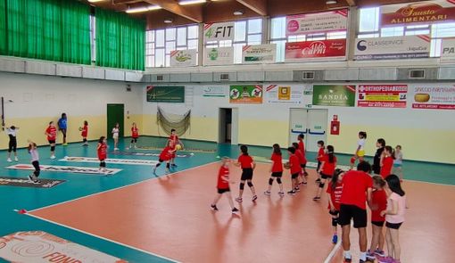 Cuneo Granda Volley ed Auxilium Cuneo: una partnership per il futuro Cuneo Granda Volley ed Auxilium Cuneo: una partnership per il futuro