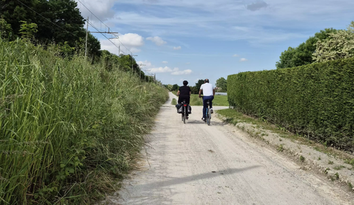 Sei chilometri tra acqua e natura: nuovo sentiero ciclo-turistico tra Borgo San Dalmazzo e il Santuario degli Angeli Sei chilometri tra acqua e natura: nuovo sentiero ciclo-turistico tra Borgo San Dalmazzo e il Santuario degli Angeli