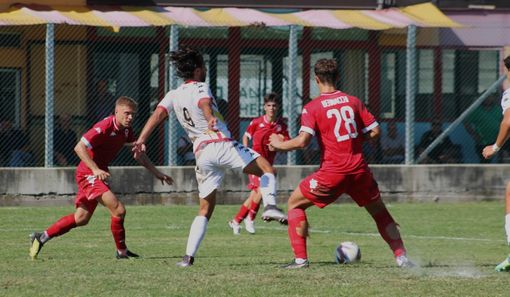 Un'azione di Bra-Varese . Foto A.Lusso