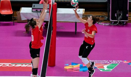 (credit Danilo Ninotto)