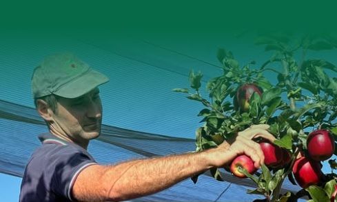 (foto - coldiretti cuneo) (foto - coldiretti cuneo)