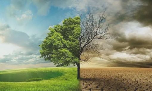 Verduno ed Alba accolgono due importanti appuntamenti dedicati a salute e benessere nella terza e quarta età