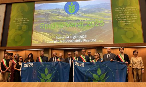 Alba è Comune Spiga Verde 2025: "Un riconoscimento che conferma l'impegno dell'amministrazione"