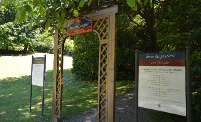 Il Bosco dei Pensieri di Tenuta Fontanafredda, a Serralunga d'Alba
