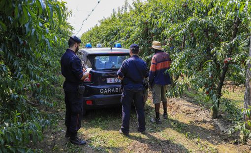 Operazioni di controllo nelle campagne della Granda da parte dei Carabinieri Operazioni di controllo nelle campagne della Granda da parte dei Carabinieri