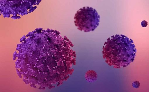 Giornata Mondiale contro il Papilloma Virus: le iniziative delle ASL cuneesi