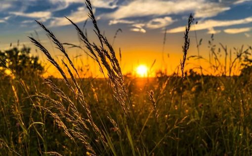 Foto generica Pixabay