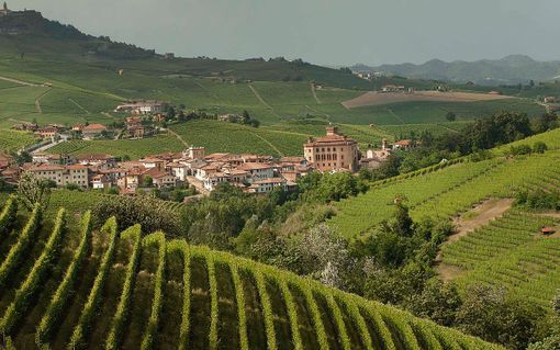 La Langa del Barolo La Langa del Barolo