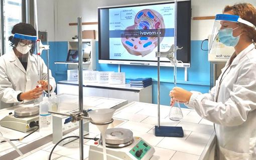 Bravi in ricerca: il "Cillario" di Alba vince bando della Fondazione Crc Bravi in ricerca: il "Cillario" di Alba vince bando della Fondazione Crc