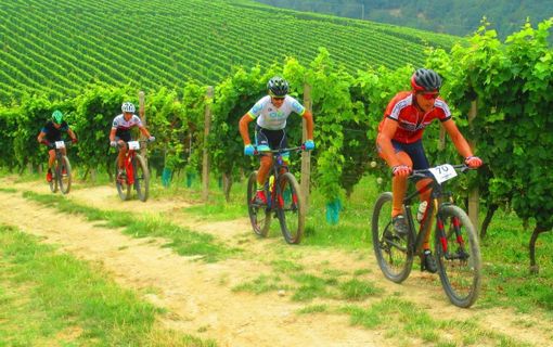 (foto - pagina fb pedalanghe)