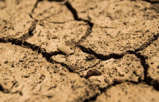 Confagricoltura: in Piemonte semine condizionate da siccità e carenza di fertilizzanti