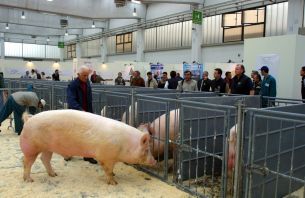 Foto generica Foto generica