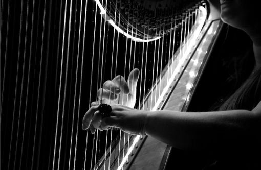 L'arpa contemporanea a ElettroClass: in arrivo a Cuneo la terza edizione L'arpa contemporanea a ElettroClass: in arrivo a Cuneo la terza edizione