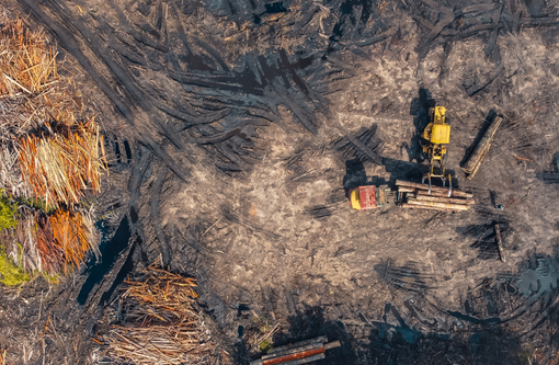 Immagine di repertorio