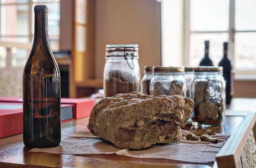 Il vino si vive: al Wimu di Barolo si potrà vivere la Wine Experience