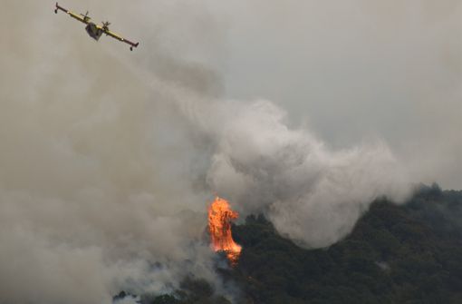 (foto diego bertorello)