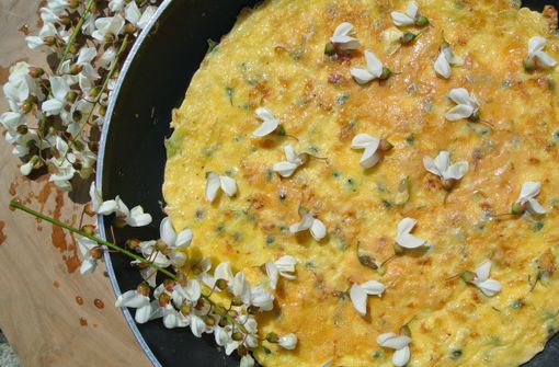 Sulla Rocca di Bra un trionfo di fiori di gaggia, ottimi per una buona frittata