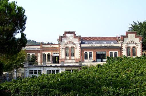 Ex allievi della Scuola Enologica di Alba: festa del tesseramento e assemblea annuale dei soci