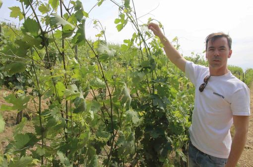 Damonte, Cia Alba: “Se inizia il bel tempo ci sono le condizioni per una buona stagione 2024”