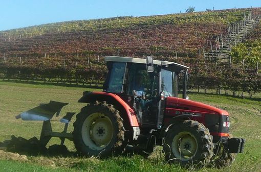 Coldiretti Cuneo: “Stop Mercosur senza reciprocità delle regole” Coldiretti Cuneo: “Stop Mercosur senza reciprocità delle regole”