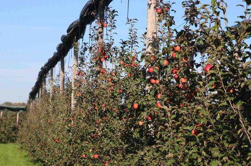 Immagine di repertorio Immagine di repertorio