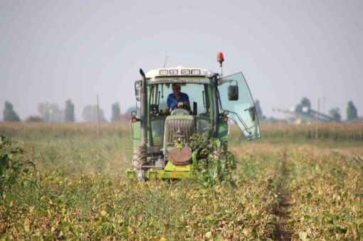 Un trattore al lavoro nei campi Un trattore al lavoro nei campi