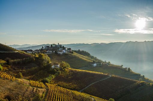 Novembre di festa con la Pro Loco di Camo: beneficenza e buona tavola alla bocciofila