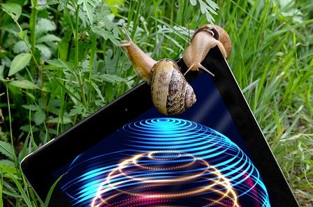 Mondodelvino a Helix 2020: sostenibilità e digitale per l’economia del futuro
