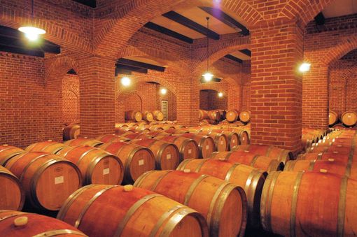 "La distillazione straordinaria può essere utile, ma serve un piano di rilancio del vino piemontese"