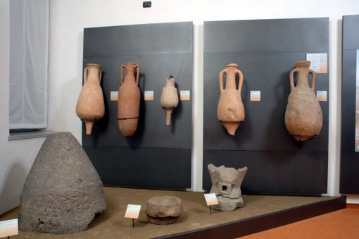 Alba, domenica visite guidate gratuite in partenza ogni ora al Museo civico “Eusebio”