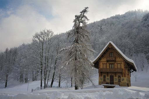 Immagine di repertorio