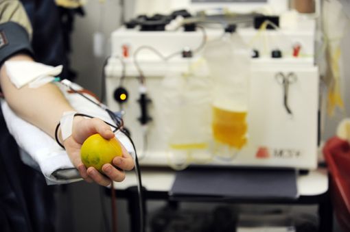 Immagine di repertorio