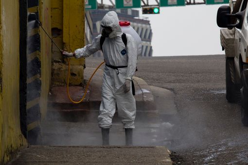 Disinfestazione blatte