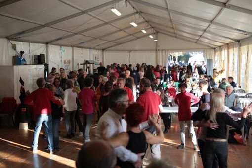 Tutto pronto per la 213esima Fiera Napoleonica dei porri, dei “puciu” e della “côgnà” Tutto pronto per la 213esima Fiera Napoleonica dei porri, dei “puciu” e della “côgnà”