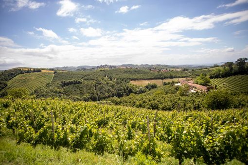 Colline dell'Alta Langa (foto Archivio Ente Turismo LMR)