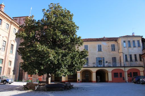 Il Polo Civico Bra Domani contro la chiusura del parcheggio della scuola primaria Rita Levi Montalcini Il Polo Civico Bra Domani contro la chiusura del parcheggio della scuola primaria Rita Levi Montalcini