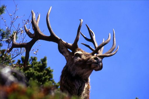 Fine settembre in valle Stura con cultura, natura e tradizioni