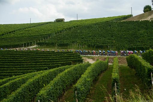 Ciclismo: svelato il percorso del GranPiemonte 2025, 179 km da Dogliani ad Acqui Terme