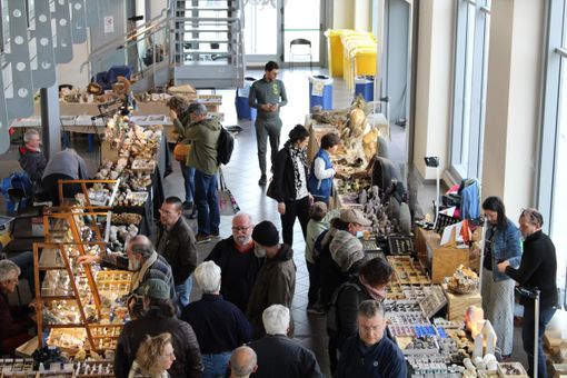 Tra minerali, fossili e meraviglie naturali: Bra riscopre la geologia del mondo