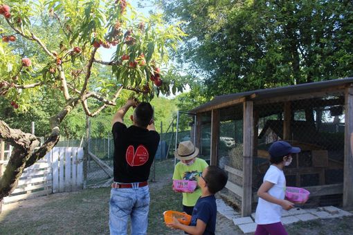 Govone, riparte l’accoglienza alla Collina degli Elfi